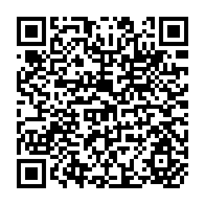 QR Code for Income Distribution and Employment Programme - Income Distribution in Iran: The Statistics of Inequality