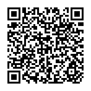 QR Code for Income Distribution and Employment Programme - Income in Kind and Pedistribution of Income in Hong Kong