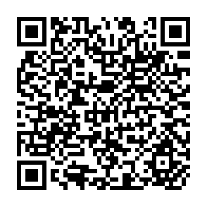 QR Code for Income Distribution and Employment Programme - Income Distribution and Employment in Turkey: Policies, Practices and Prospects