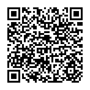 QR Code for Aspects of Income Distribution in Turkey