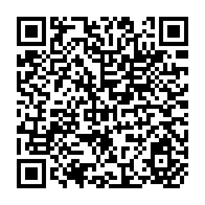 QR Code for The Dynamics of Human Resources Devlopment in Turkey and their Implications for Employment and Income Distribution