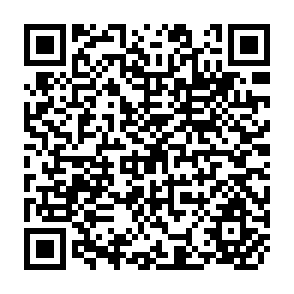 QR Code for Income Distribution and Employment Programme - Impact of Economic Growth on the Size Distribution of Income: The Postwar Experience of Japan