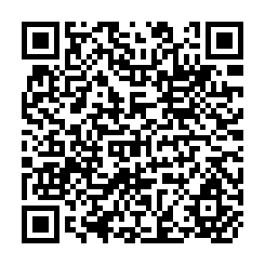 QR Code for The Role pf Asset Redistribution in Poverty-Focused Development Stratergies