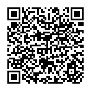 QR Code for Income Distribution and Emplyment Programme