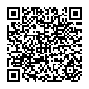 QR Code for Income Distribution and Employment Programme- What Does Social Security do to Incomes?