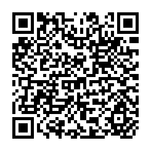 QR Code for Income Distribution and Employment Programme - Changes in Employment and the Distribution of Income during the Brazilizn "Miracle"