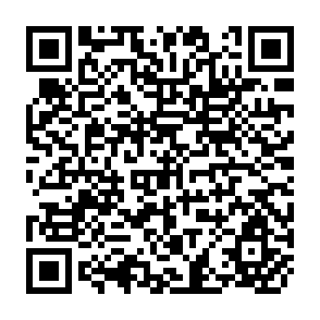 QR Code for Income Distribution and Employment Programme: Who Benefits From Government Expenditures?