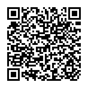 QR Code for Income Distribution and Employment Programme - Changes in Income Distribution, Employment and Structure of the Economy: A Case Study of Iran