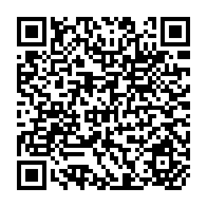 QR Code for Employment Performance of Ghanaian Manufacturing Industries