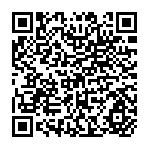 QR Code for Income Distribution and Employment Programme