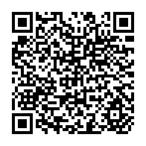QR Code for Income Distribution and Employment Programme The Incidence of Taxation