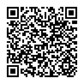 QR Code for Income Distribution and Employment Programme - Income Distribution During the Process of Development