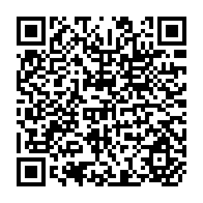 QR Code for Income Distribution And Employment Pragramme: Net Incidence of Government Expenditures, Taxation and Social Security