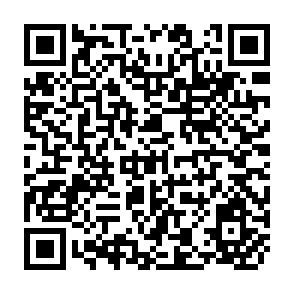 QR Code for Income Distribution and Employment Programme - Zambia's Income Distribution During the Early Seventies