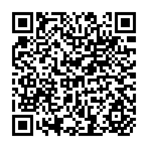 QR Code for Income Distribution and Employment Programme - A Monetary Will-O'- the Wisp: Pursuit of Equity Through Deficit Spending - Part i