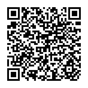 QR Code for World Employment Programme Research