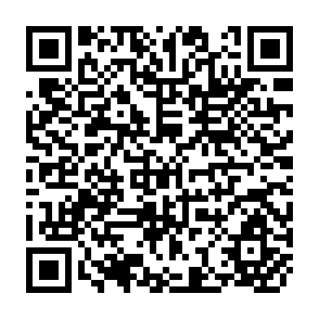 QR Code for Formation, emploi et productivite dans le sectuenr non structure urban-une etude prospective