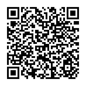 QR Code for Technology and Employment Project the Green Revolution in Bangladesh: Adoption, Diffusion and Distributional Questions