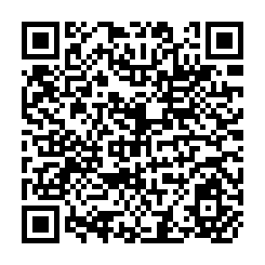 QR Code for Technology and Employment Project  The Role of Design in The Cholce of Road Construction Techniques