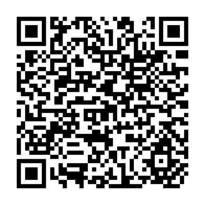 QR Code for Multinational Firms, Employment and Income Record of the First meeting of the Steering Group