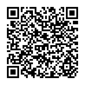 QR Code for Multinational Enterprise, The International Division of Labour In Manufactures, and The Developing Countries