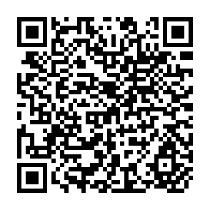 QR Code for The Impact of Multinational Firms on Employment and Income: A Case Study Of Phosphates in Senegal