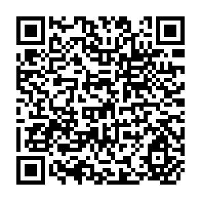 QR Code for The Impact of Multinational Corporations on Employment and Income the case in Mexica