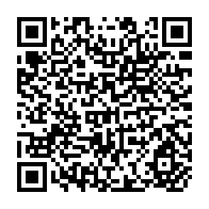 QR Code for Production, Employment and Wages in Modern and Traditional Sectors: Argentine Case(1950-1970)