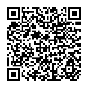 QR Code for The Yugoslav Firm: Theory and Reality