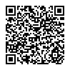 QR Code for Labour Policy and Fertility in Developing Countries