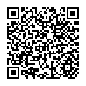 QR Code for The inpact of unionisation on negotiated wages in the manufacturing sector in Kenya
