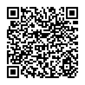 QR Code for The Employment Problem In Less Developed Countries
