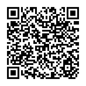 QR Code for Diversification and Development
