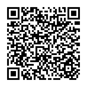 QR Code for Thinking About Rural Development