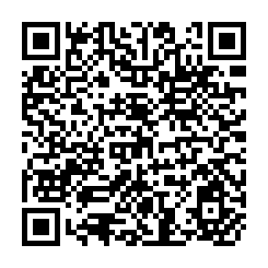 QR Code for Report of the fao/undp international expert consultation on the use of improved technology for food production in rainfed areas of tropical asia