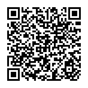 QR Code for Transport Planning and Finance