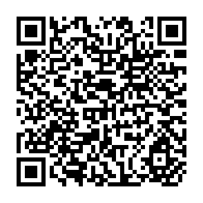 QR Code for One World Only- Employment and Occational Training in an Expending Society