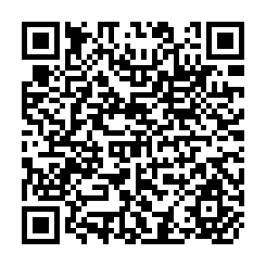 QR Code for Development Savings Bank