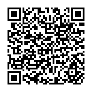 QR Code for Report on the Expert Consultation Meeting on the Mechanization of Rice Production