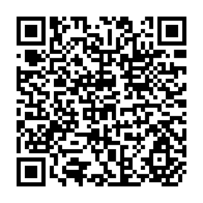 QR Code for Provincial Indicative World Plan for Agricultural Development- A Synthasis and Analysis of Factors Revelent to World, Regional and National Agricultural Development Volume I