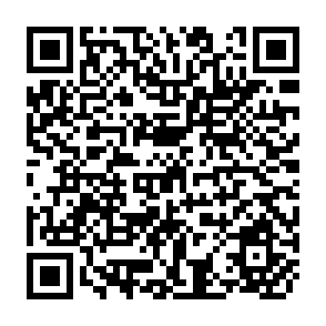 QR Code for Report of the Fao/undp international expert consultation on the use of improves technology for food production in rainfed areas of tropical asia
