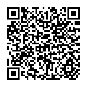 QR Code for Report of the Fao/undp international expert consultation on the use of improves technology for food production in rainfed areas of tropical asia
