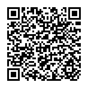 QR Code for Report of the Fao/undp international expert consultation on the use of improves technology for food production in rainfed areas of tropical asia