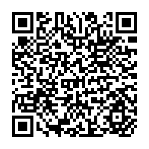 QR Code for Development Co-operation
