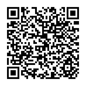 QR Code for Trade Strategies for Economic Development: the Asian Experience