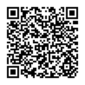 QR Code for World Conference on Agricultural Education and Training Report Vol.ii
