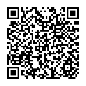QR Code for The Food Research Institute's Fiftieth Anniversary Conference Strategies for Agricultural Development in the 1970s: A summary and Critique