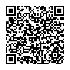 QR Code for The Food Research Institute's Fiftieth Anniversary Conference Strategies for Agricultural Development in the 1970s: A summary and Critique