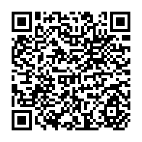 QR Code for Labour Absorption in Philippine Agriculture