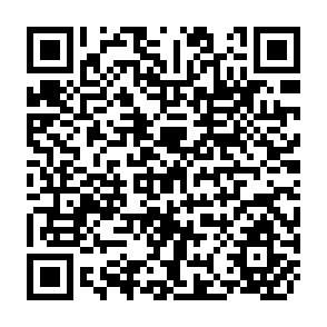 QR Code for Second And Third Meetings of The Agriculture Credit Board And Those of Standing Committees I And II